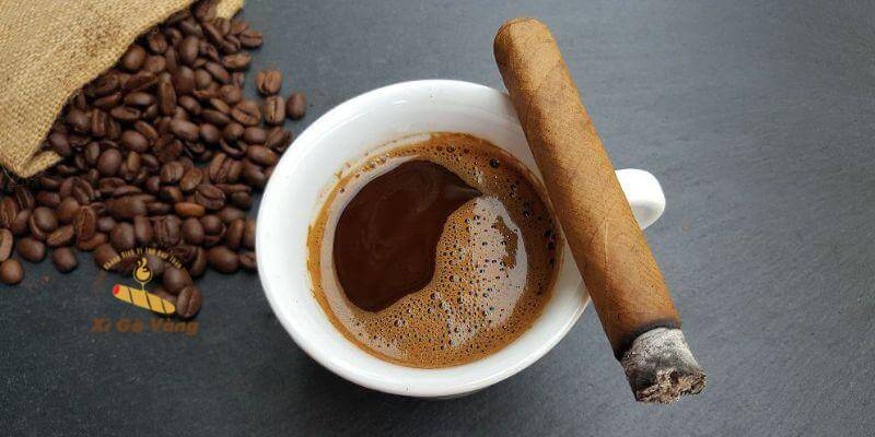 Cách hút xì gà đúng kỹ thuật và nhịp hút